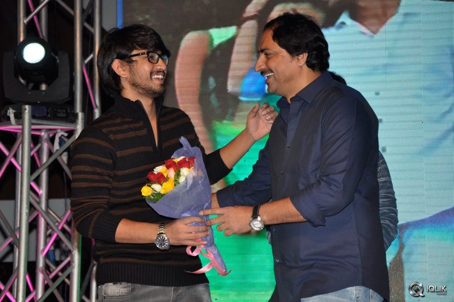 Seethamma-Andaalu-Raamayya-Sithraalu-Movie-Audio-Launch